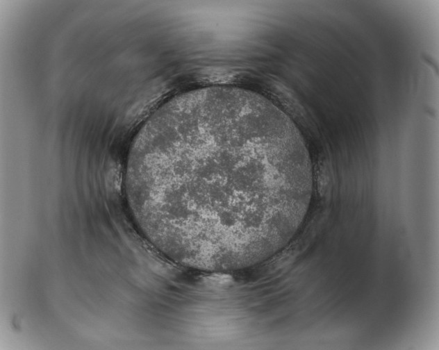 X0000102770374200809021035