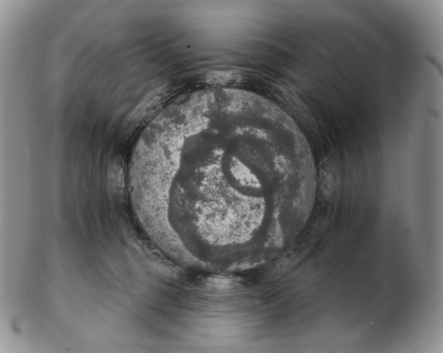 X0000102770375200809021035