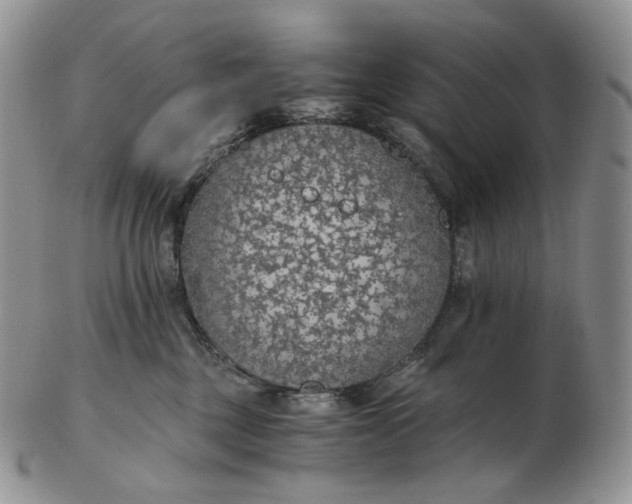 X0000102770377200809021035