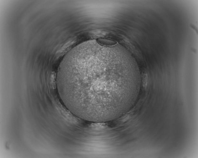 X0000102770378200809021035