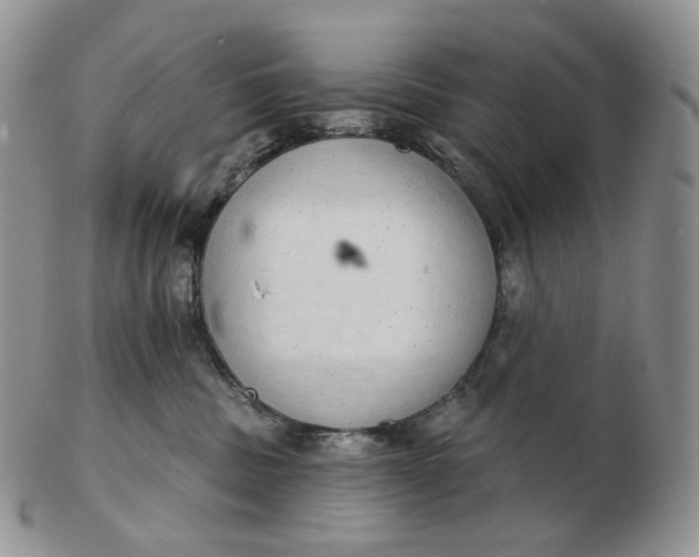 X0000102770379200809021035