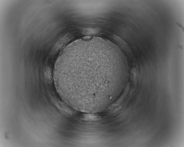 X0000102770380200809021035