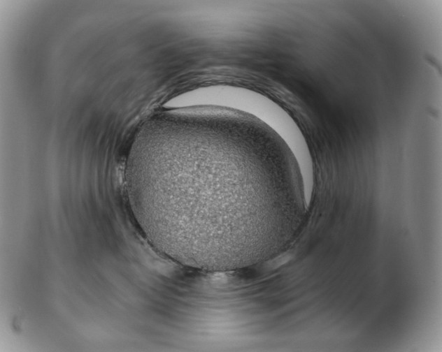 X0000102770382200809021035