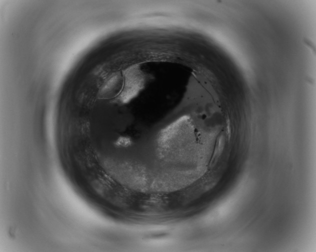 X0000102770383200809021035