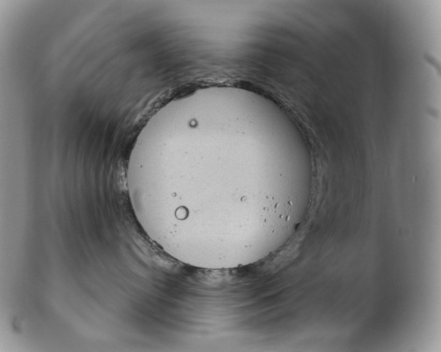 X0000102770384200809021035