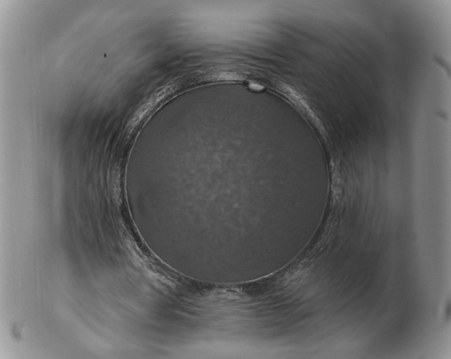 X0000102770386200809021034