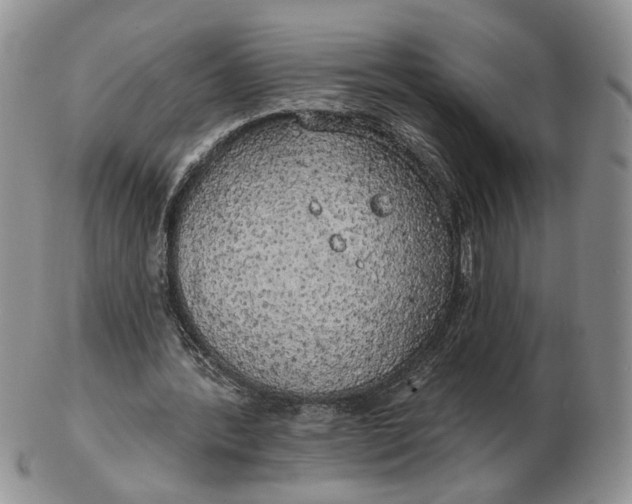 X0000102770388200809021034