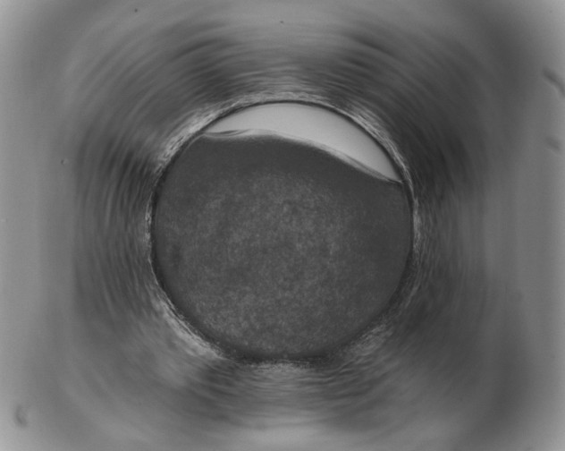 X0000102770389200809021034