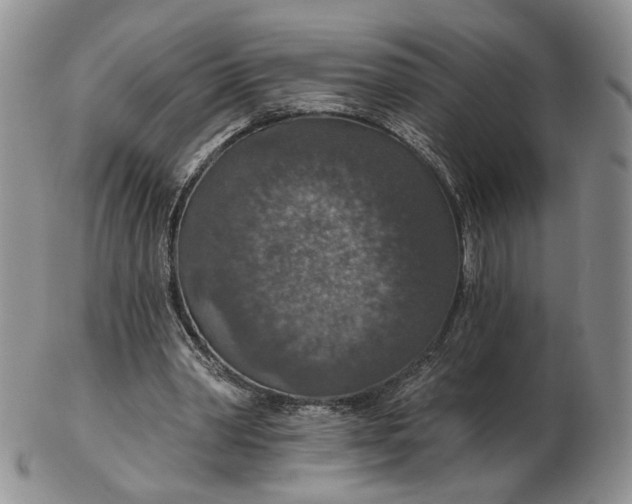 X0000102770390200809021034