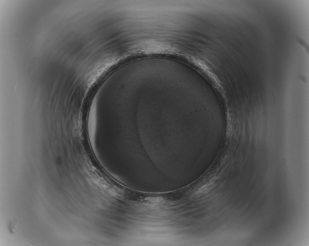 X0000102770391200809021034