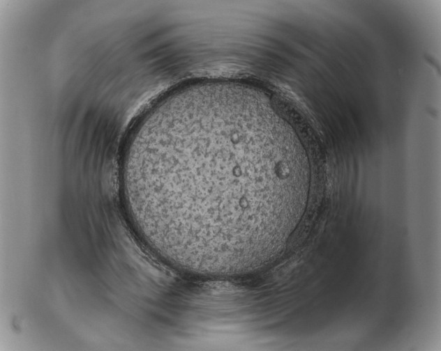 X0000102770392200809021034