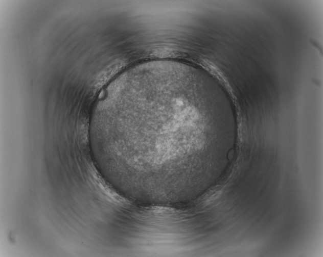 X0000102770393200809021034