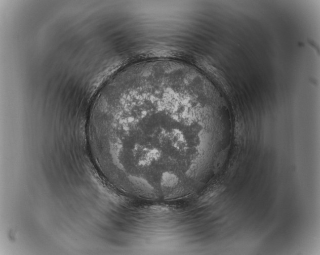 X0000102770394200809021034