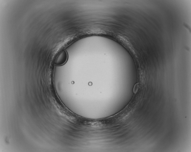 X0000102770395200809021034