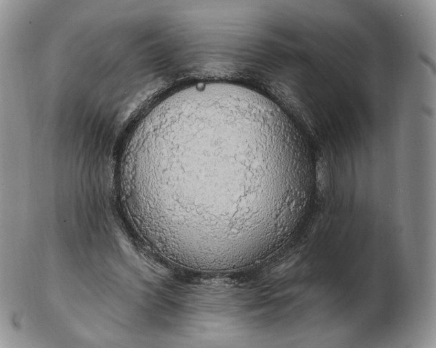 X0000102770396200809021034