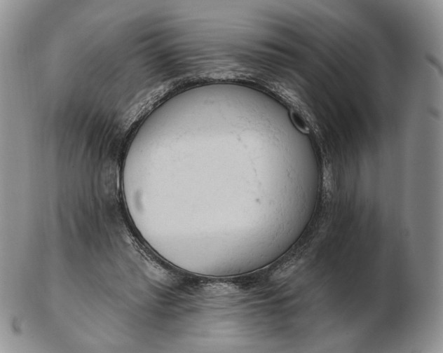 X0000102770397200809021034