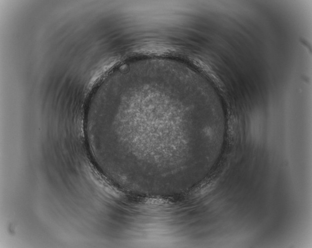 X0000102770399200809021034