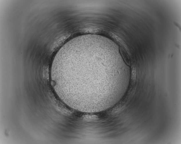 X0000102770403200809021034