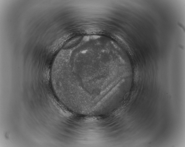 X0000102770405200809021034