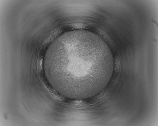 X0000102770406200809021034