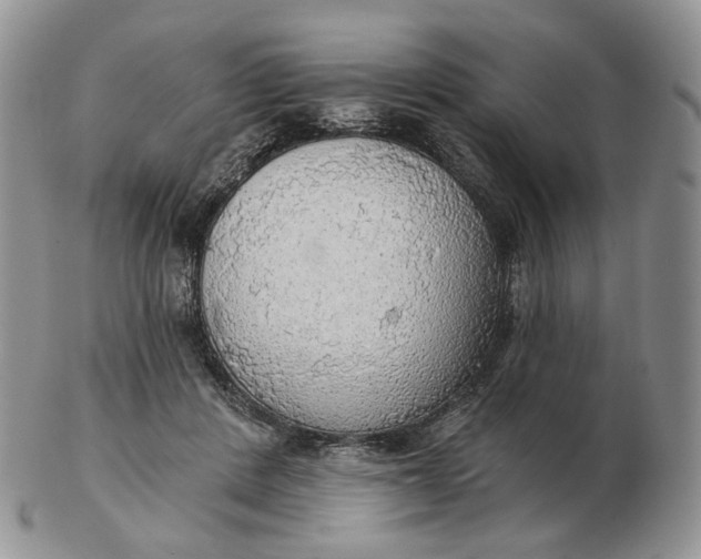 X0000102770408200809021034