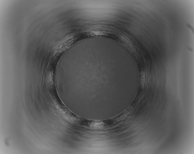 X0000102770410200809021034