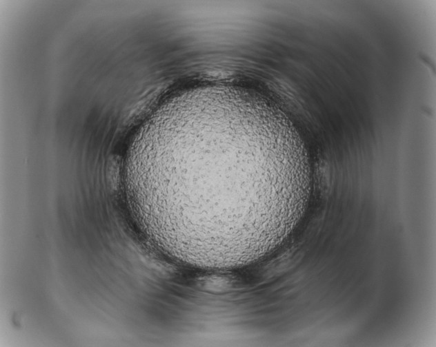 X0000102770412200809021034