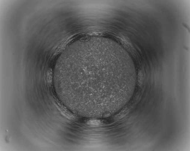 X0000102770413200809021034