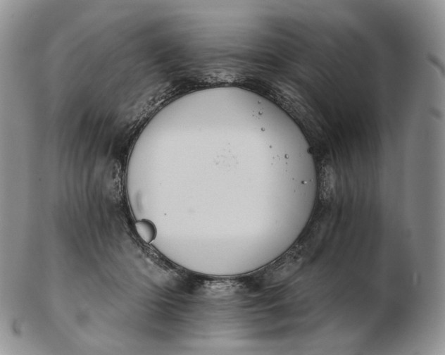 X0000102770414200809021034