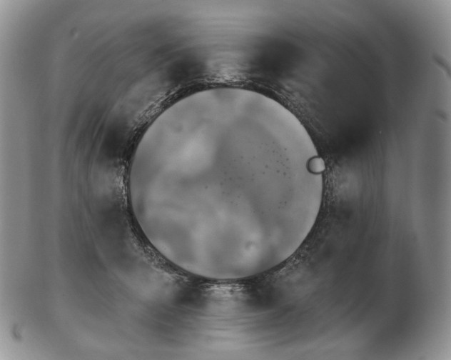 X0000102770415200809021034