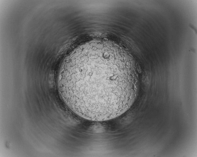 X0000102770416200809021034