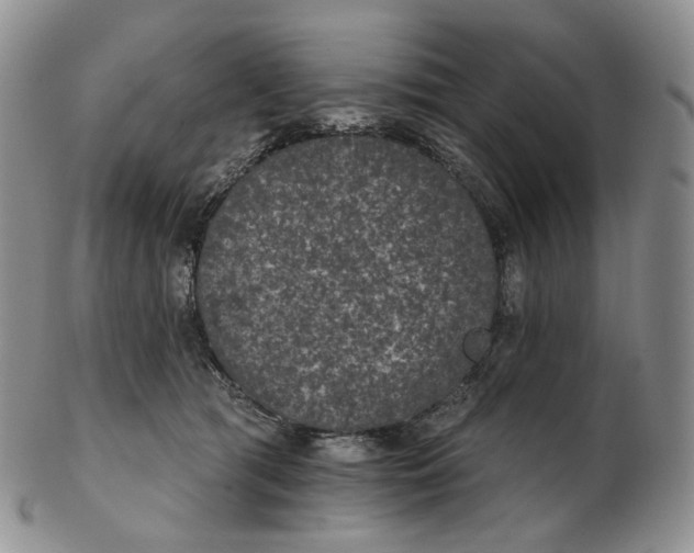 X0000102770417200809021034