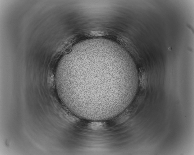 X0000102770418200809021034