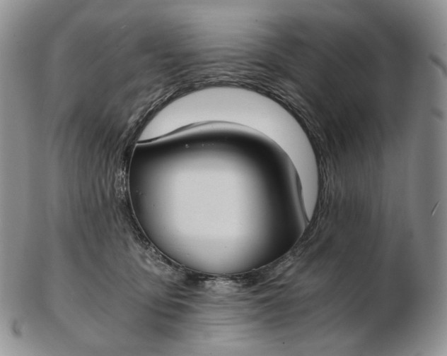 X0000102770419200809021034