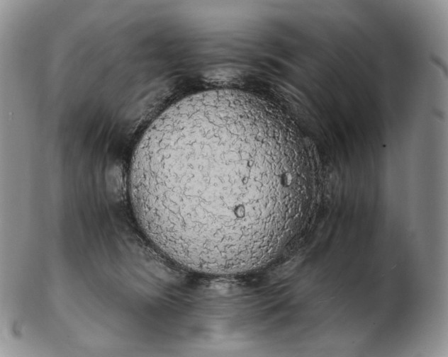 X0000102770420200809021034