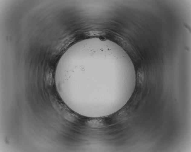 X0000102770422200809021034