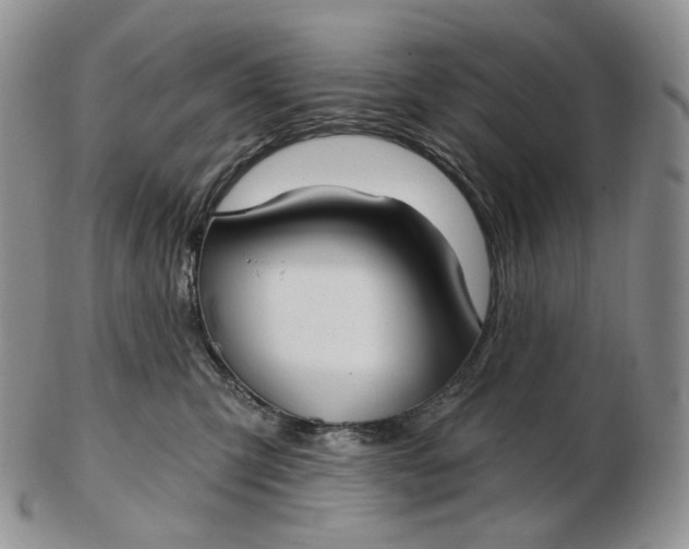 X0000102770423200809021034