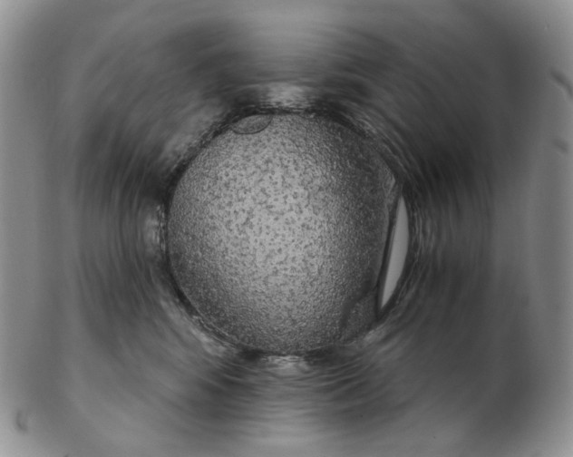 X0000102770424200809021034