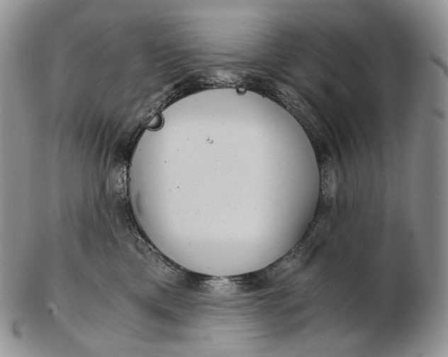 X0000102770425200809021034