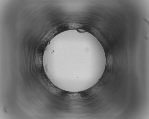 X0000102770426200809021034