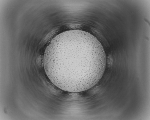 X0000102770428200809021034