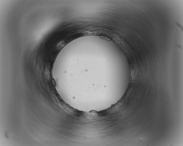 X0000102770429200809021034