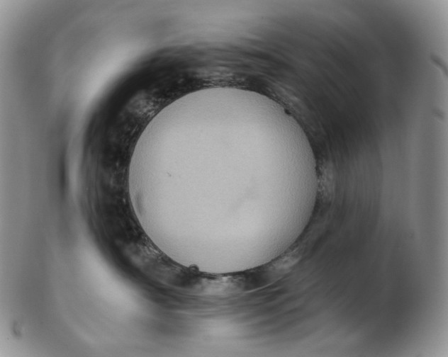 X0000102770430200809021034