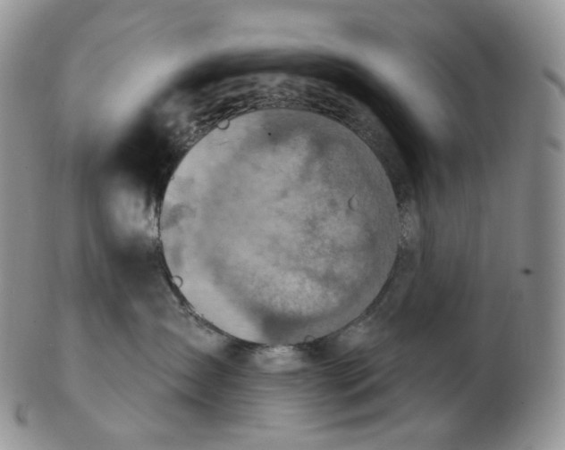 X0000102770431200809021033