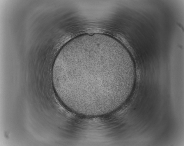 X0000102770433200809021033