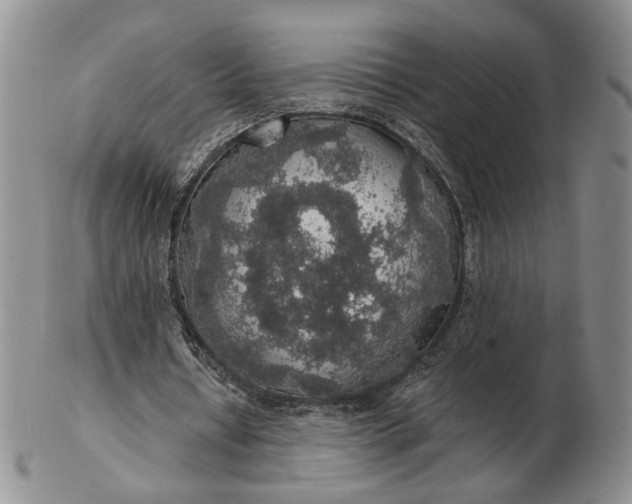 X0000102770434200809021033