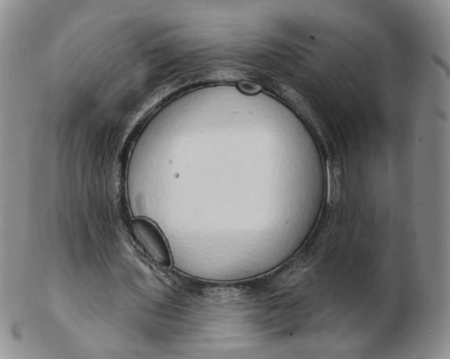 X0000102770435200809021033