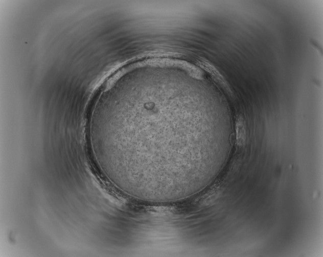 X0000102770436200809021033