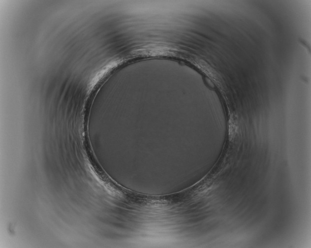 X0000102770438200809021033