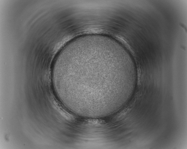 X0000102770439200809021033